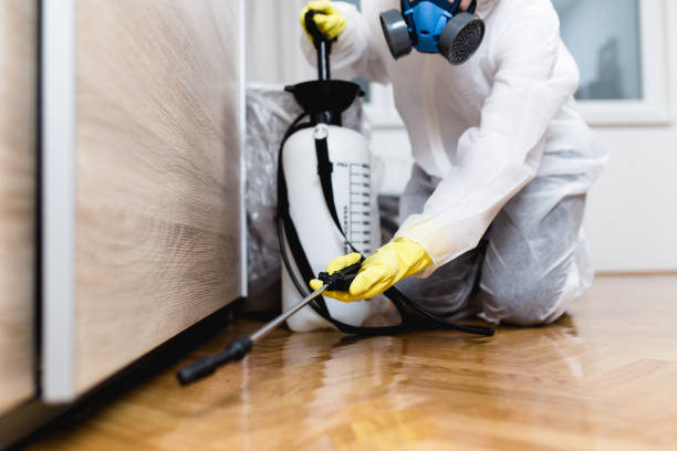 Best Affordable Pest Control Services  in Orida Ridge, FL