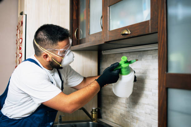 Best Best Pest Control Companies  in Orida Ridge, FL