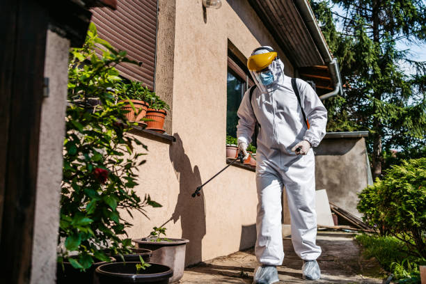 Best Insect Control  in Orida Ridge, FL
