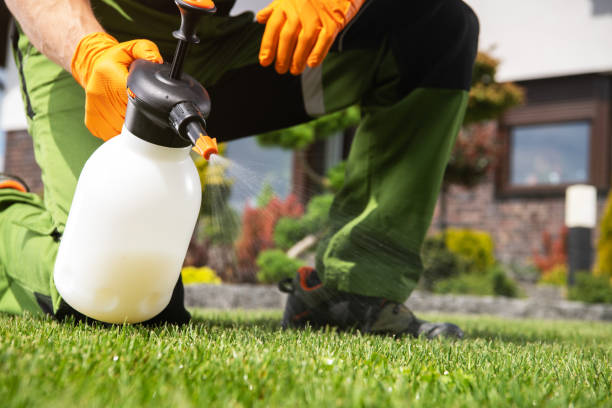 Best Mosquito Control Services  in Orida Ridge, FL