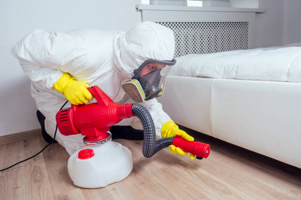 Insect Control in Florida Ridge, FL