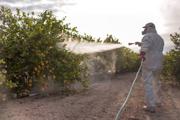 Best Pest Prevention Services  in Orida Ridge, FL