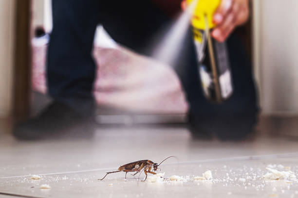 Best Ant Control Services  in Orida Ridge, FL