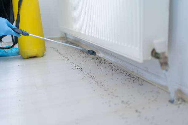 Best Pest Inspection Near Me  in Orida Ridge, FL